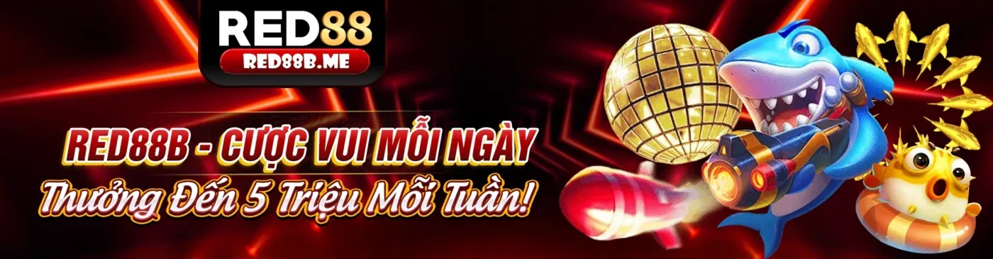 Chào mừng bạn đến với 6fff chính thức - Hướng dẫn người mới bắt đầu